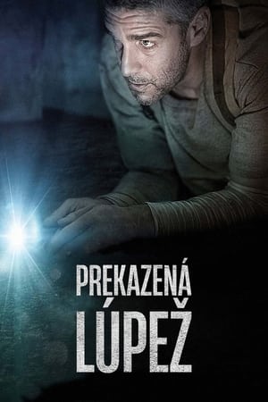 Poster Prekazená lúpež 2016