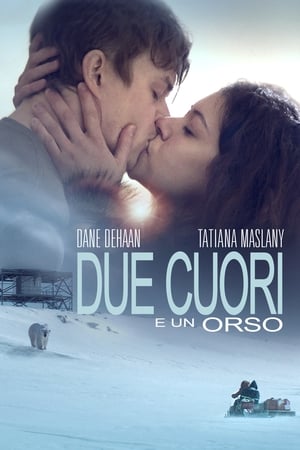 Due cuori e un orso 2016