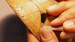 NHK WORLD PRIME: 6×8