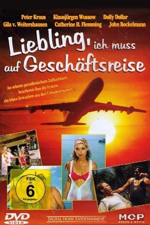 Poster Liebling, ich muß auf Geschäftsreise (1995)