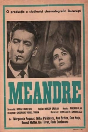 Meanders poster