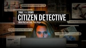 poster True Crime Story: Citizen Detective