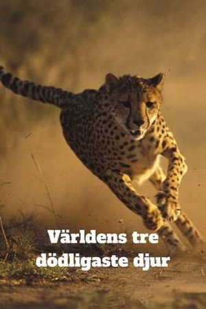 World's Deadliest Killer Three