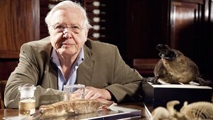 David Attenborough's Natural Curiosities A Curious Hoax?