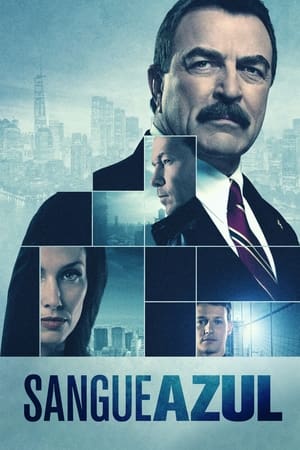 Poster Blue Bloods Temporada 4 2013