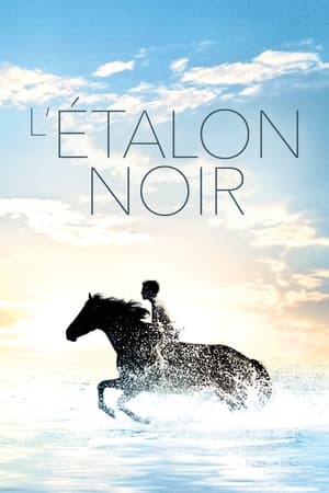 Poster L'Étalon noir 1979