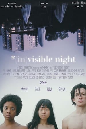 Poster *(In)Visible Night (2023)