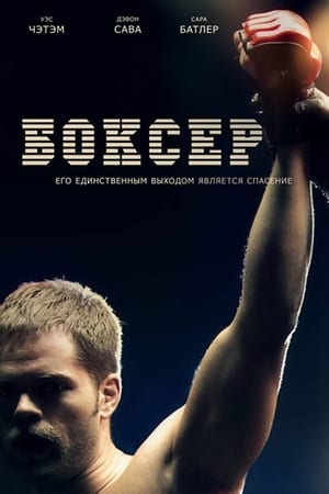 Poster Боксер 2012