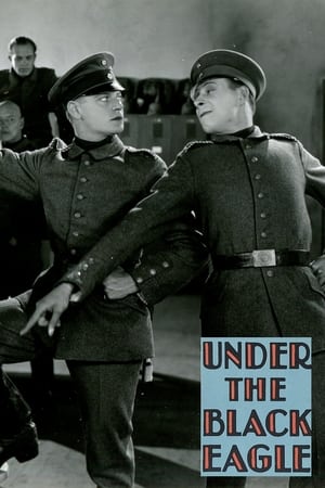 Under the Black Eagle poster