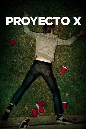Poster Proyecto X 2012