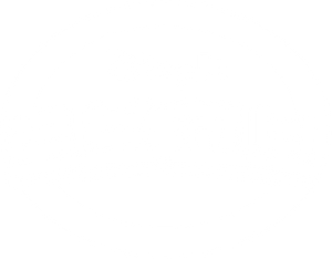 RoboGobo — Logos 12