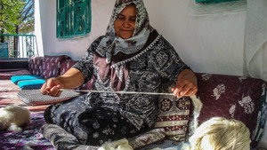 Carpets, Skis, Niagara Power