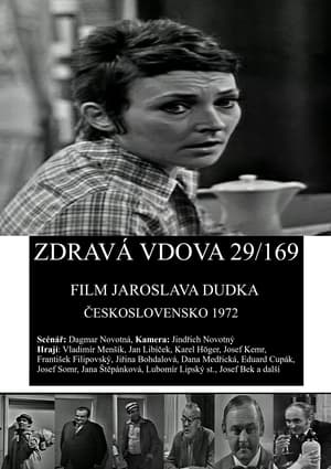 Image Zdravá vdova 29/169