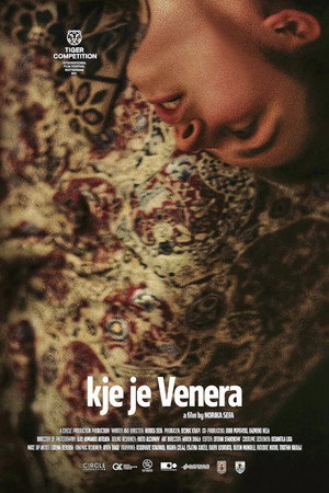 Looking for Venera 9