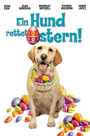 Poster Ein Hund rettet Ostern 2014