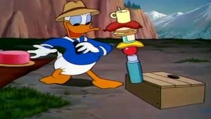 Donald et les Fourmis