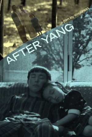 After Yang 77