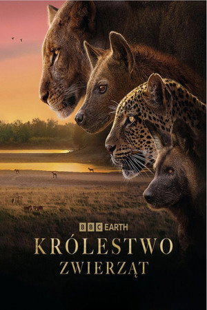 Królestwo zwierząt