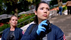 Chicago Fire: 13×6