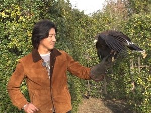 Challenge to catch a hawk at the zoo!