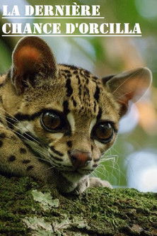 La dernière chance d’Orcilla 2019 映画日本語字幕