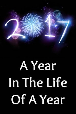 2017: A Year in the Life of a Year