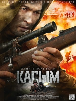 Poster Касым 2013