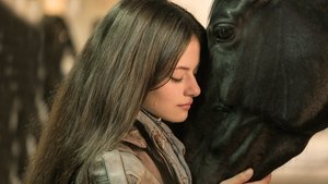 Black Beauty (2015)