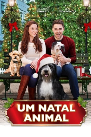 Poster A Dogwalker's Christmas Tale 2015