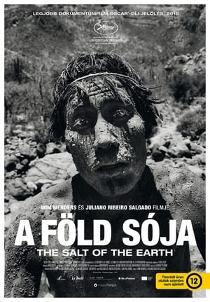 Poster A föld sója 2014