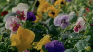 фото  - Смотреть Late Bloomers бесплатно онлайн на Lord-Filmy