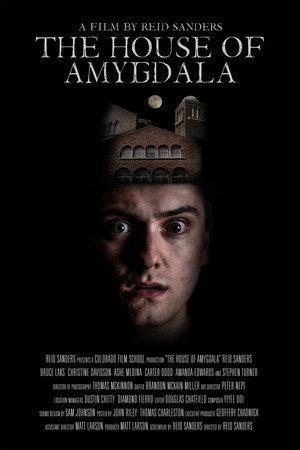 The House of Amygdala 6