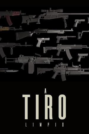 Poster A tiro limpio (2013)