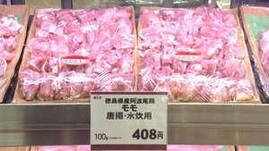 Japanology Plus: 6×8