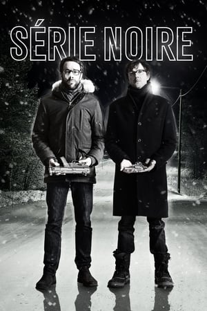 Poster Série noire 2014