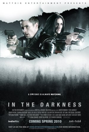 In the Darkness poster