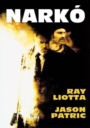 Poster Narkó 2002