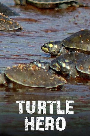 Turtle Hero