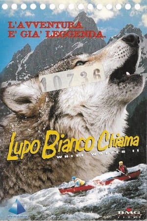 Image La Leggenda del Lupo Bianco