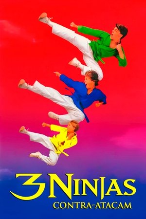 Image 3 Ninjas Kick Back