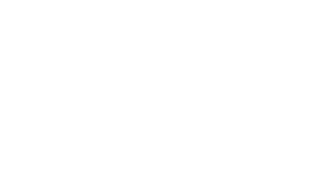 盛夏光年 — Logos 6