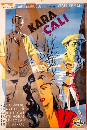 Poster Kara Çalı (1956)