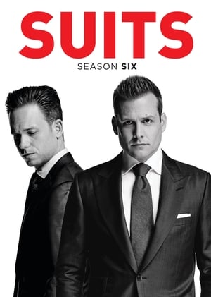 Suits: Staffel 6