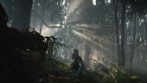 Images posters