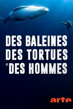Poster Des baleines, des tortues et des hommes 2024
