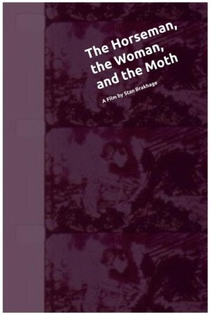 Nonton film The Horseman, the Woman, and the Moth (1968) terbaru sub indo Nonton film The Horseman, the Woman, and the Moth (1968) terbaru sub indo
