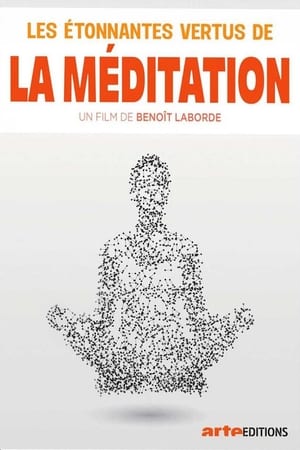Poster Les étonnantes vertus de la méditation (2017)
