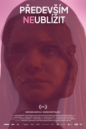 Především neublížit 海报