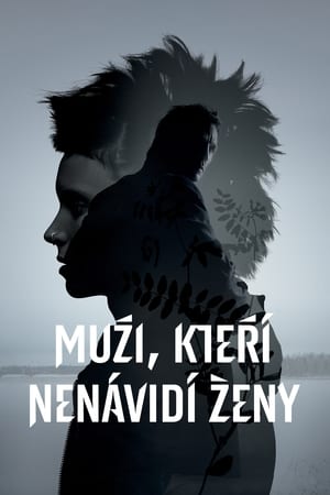 Poster Muži, kteří nenávidí ženy 2011