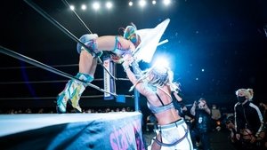 Stardom on Stardom World: 12×9